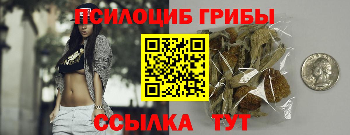 Галлюциногенные грибы ЛСД  Псилоцибиновые грибы Cubensis  Вход с VPN  Котовск 